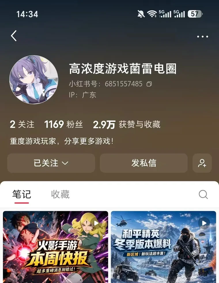 小红书账号 高浓度游戏菌雷电圈 主页截图